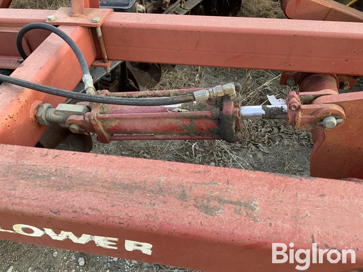 sunflower-1434-23-image-16