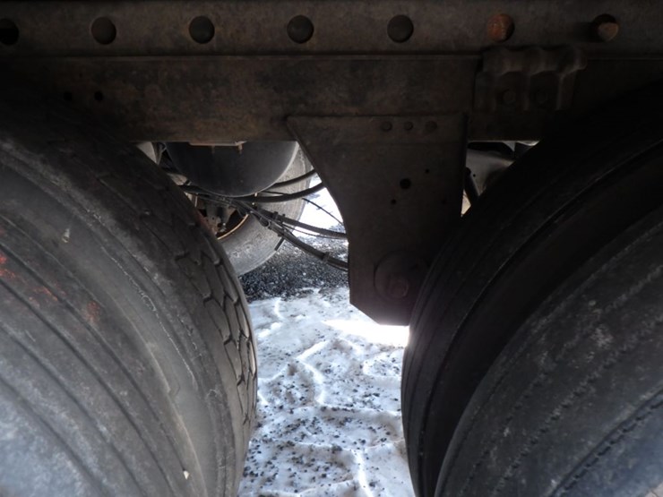 2019-great-dane-champion-cp-image-18