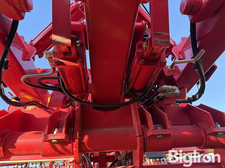 sunflower-9435-image-18