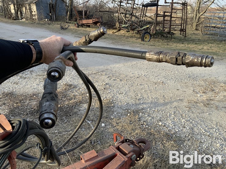 sunflower-1434-23-image-12