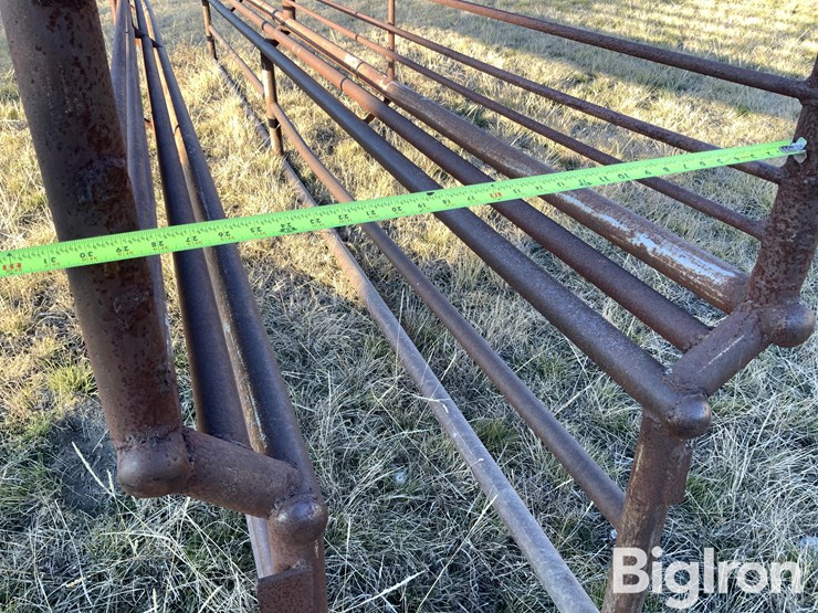 shop-made-20'-cattle-run-image-16