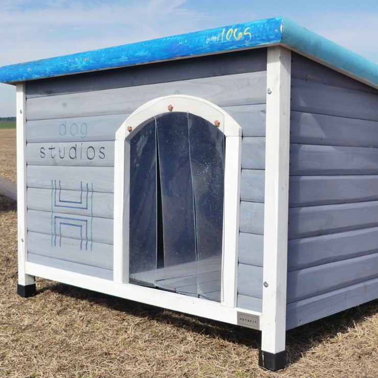 Dog House