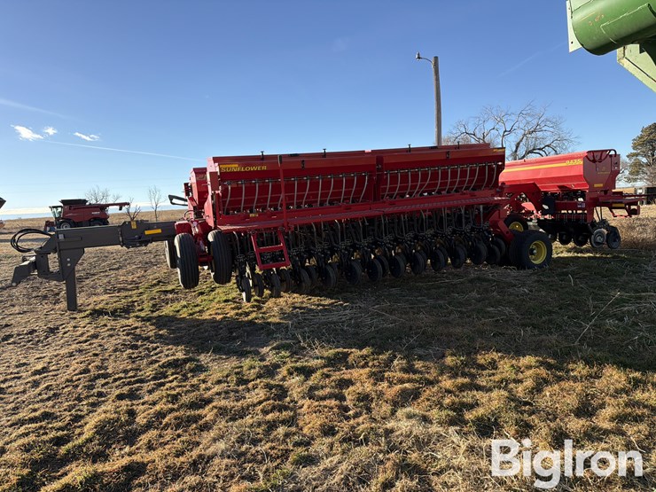 sunflower-9435-image-4