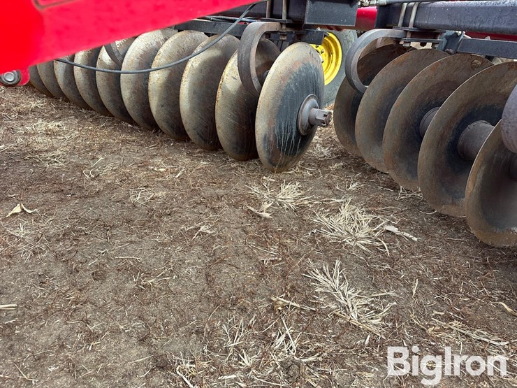 sunflower-1435-image-20