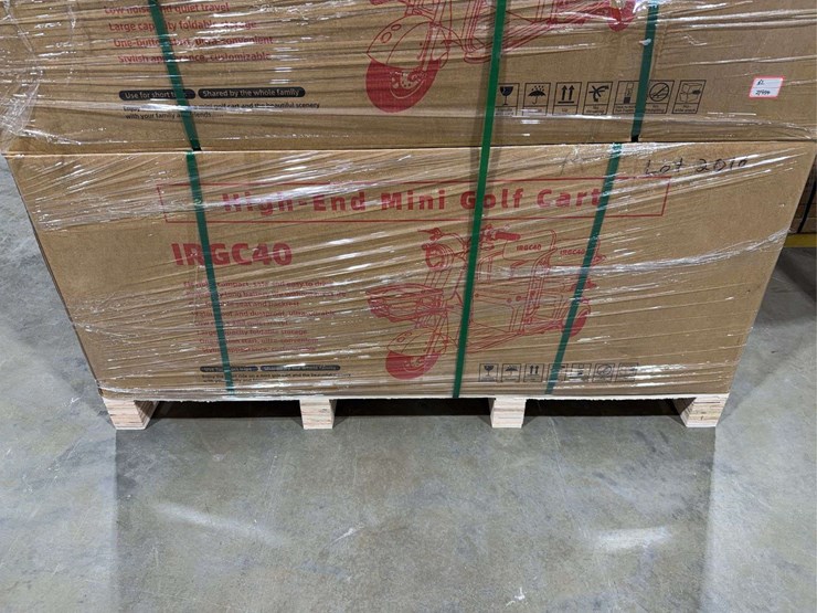 sdlanch-irgc40-electric-tricycle-image-3