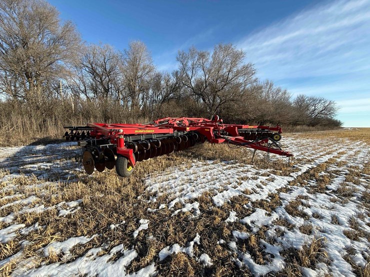 sunflower-disc-image-3