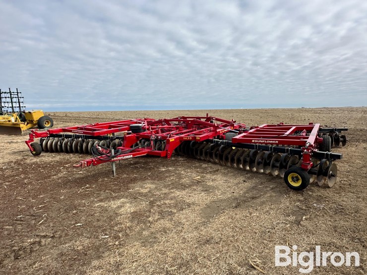 sunflower-1435-image-1