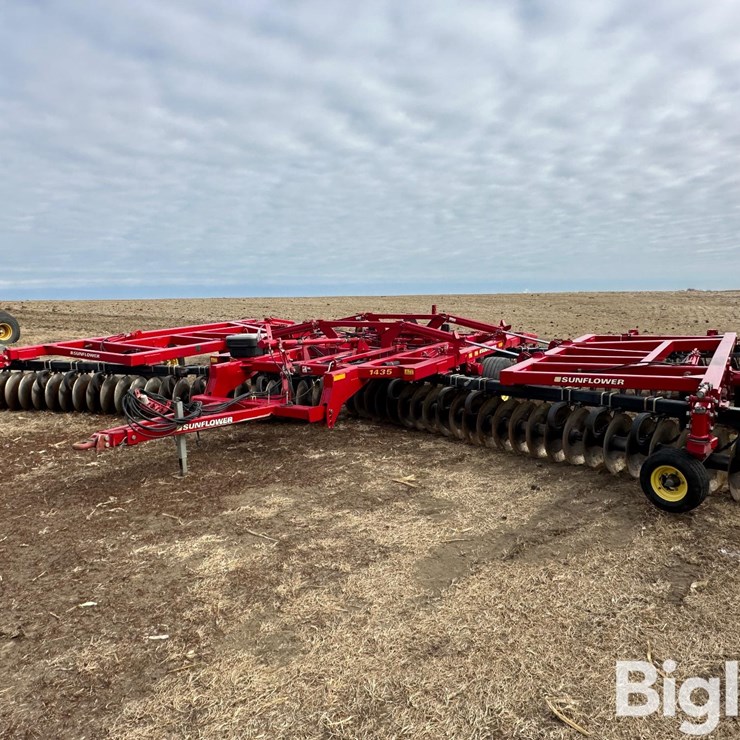 SUNFLOWER 1435