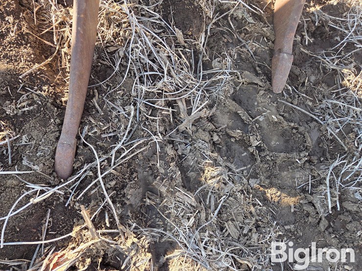 lindsay-3-pt-ripper-image-13