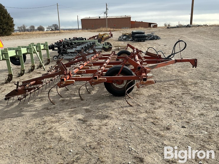 international-45-image-6