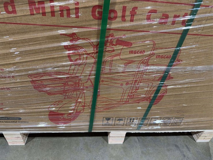 sdlanch-irgc40-electric-tricycle-image-4