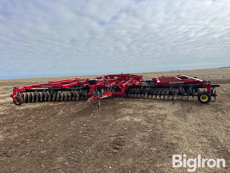 sunflower-1435-image-2