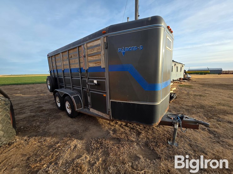 1990-diamond-d-image-3