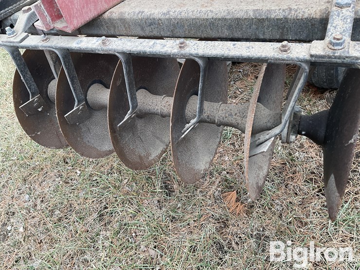 international-496-image-10