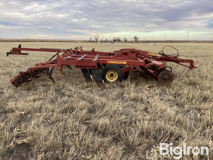 sunflower-4212-19-image-4