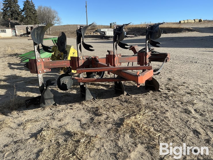 international-145-image-5