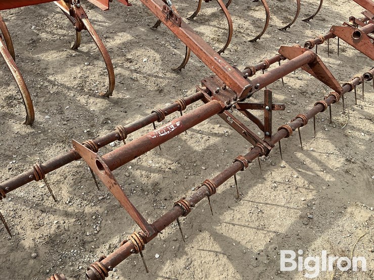 international-45-image-14