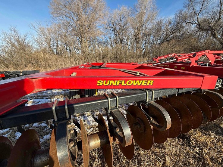 sunflower-disc-image-12