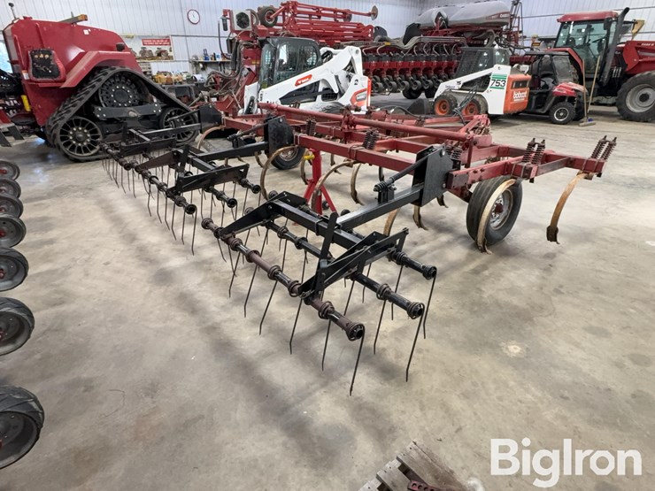 international-55-image-5