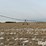 valley-center-pivot-image-1