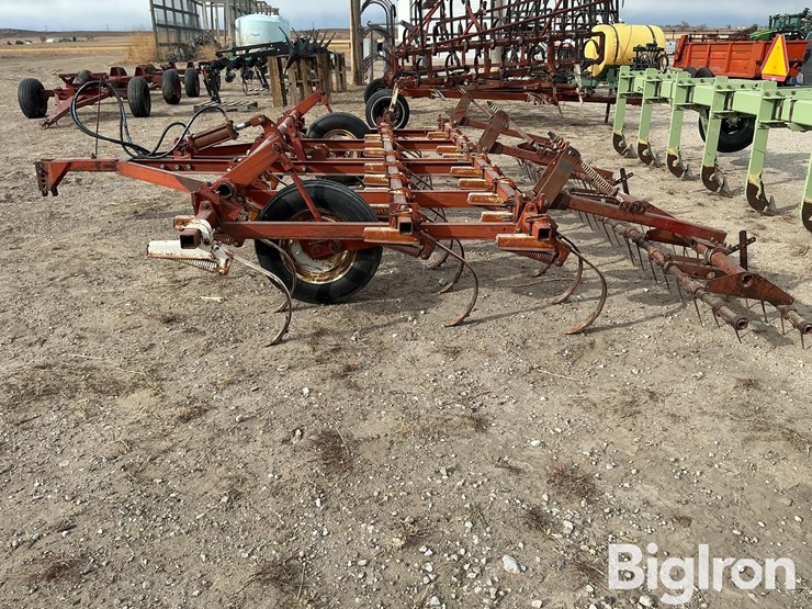 international-45-image-11