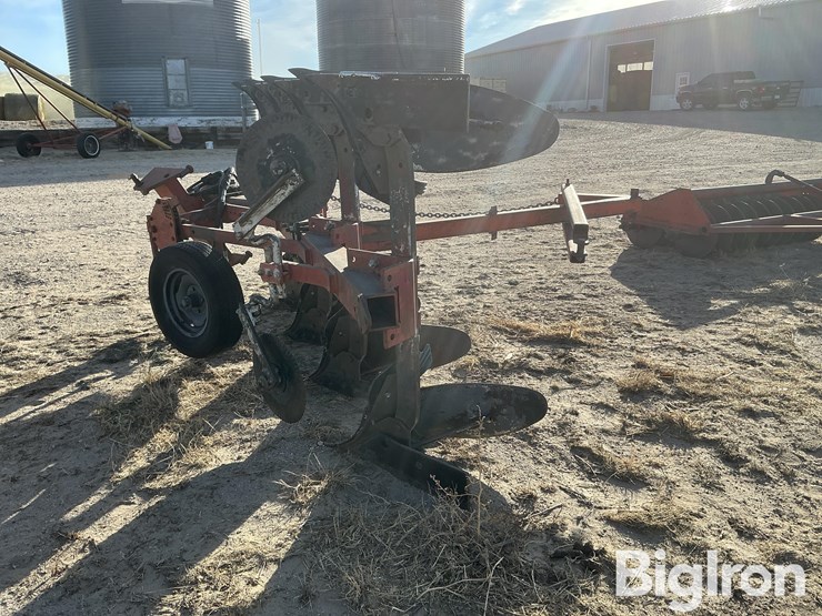 international-145-image-7