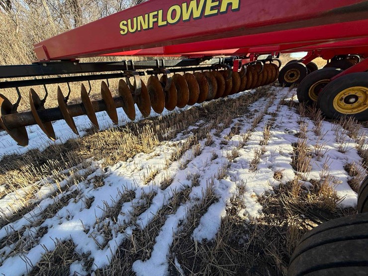 sunflower-disc-image-13