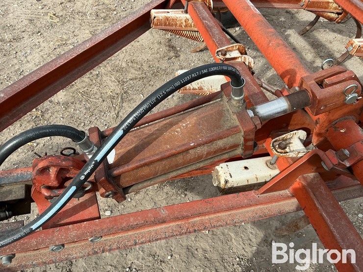 international-45-image-8