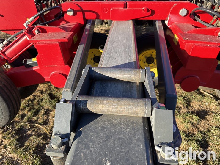 sunflower-9435-image-11