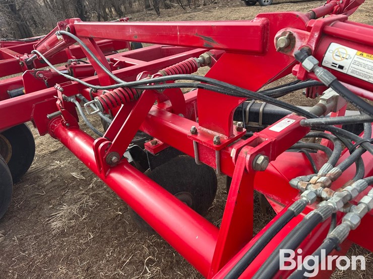 sunflower-1435-image-13