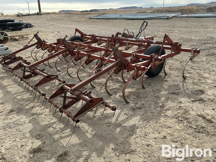 international-45-image-5