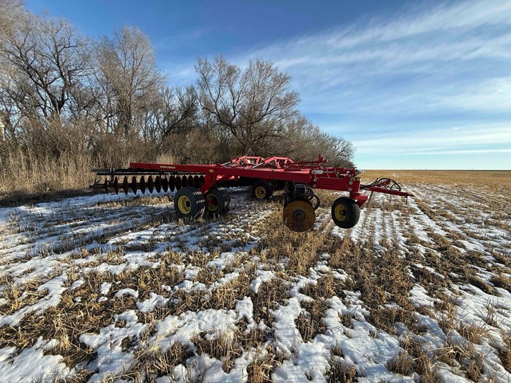 sunflower-disc-image-4