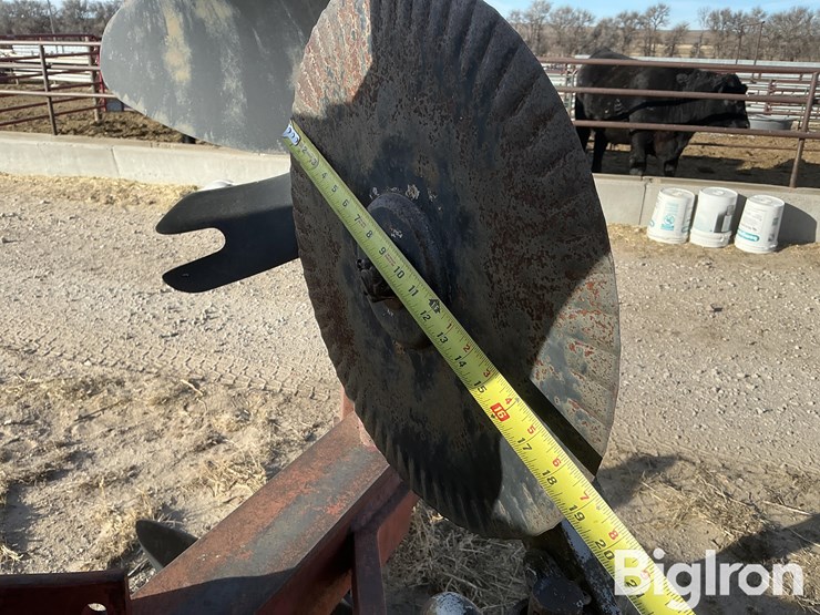 international-145-image-16