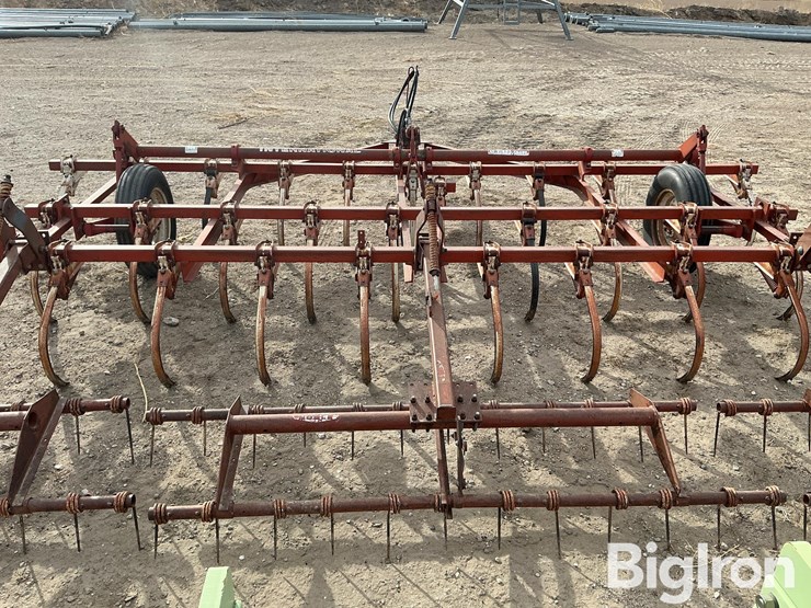 international-45-image-4