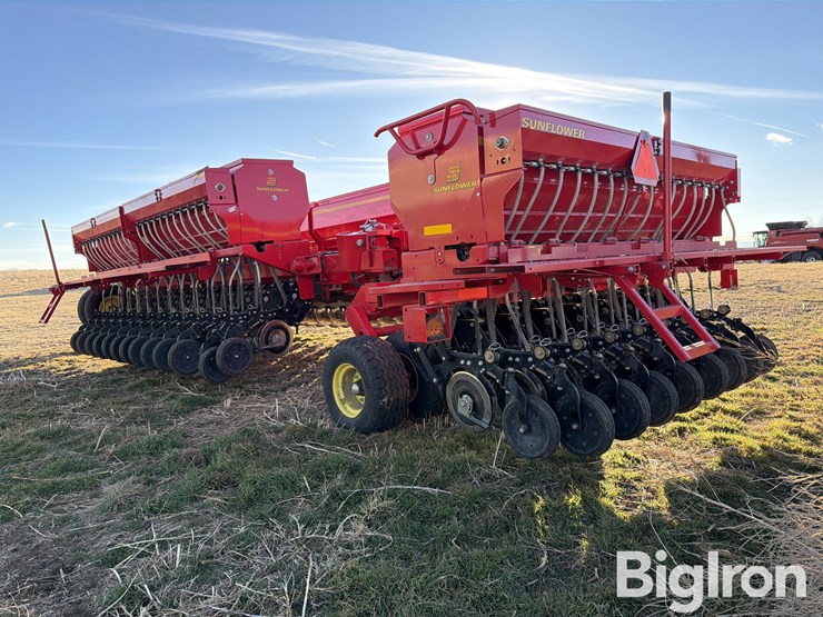 sunflower-9435-image-5