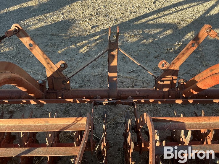 international-3-image-14