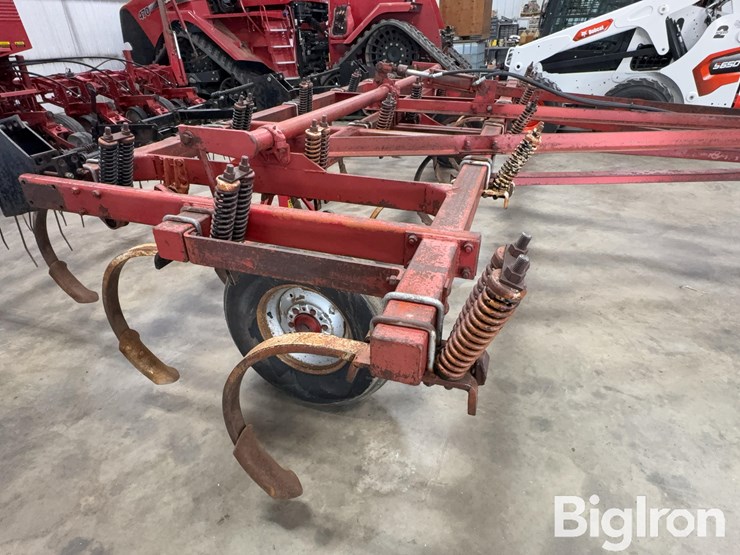 international-55-image-16