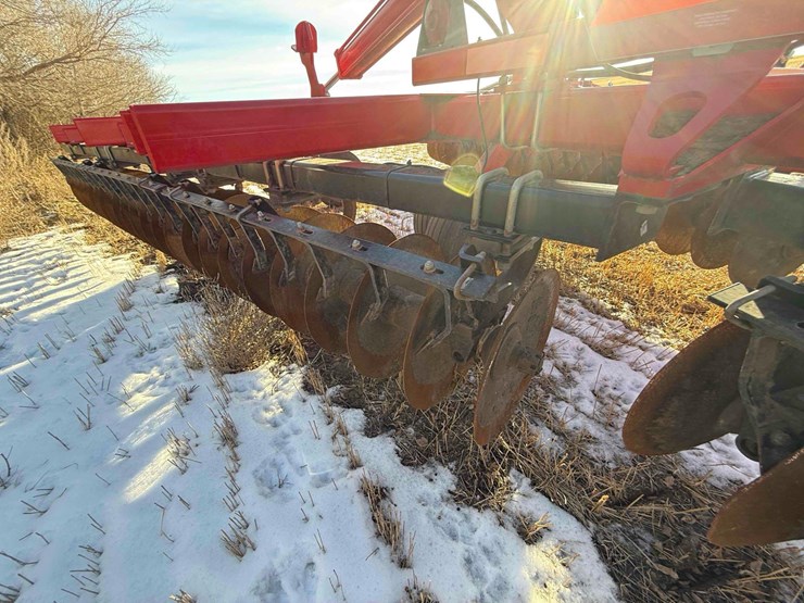 sunflower-disc-image-16