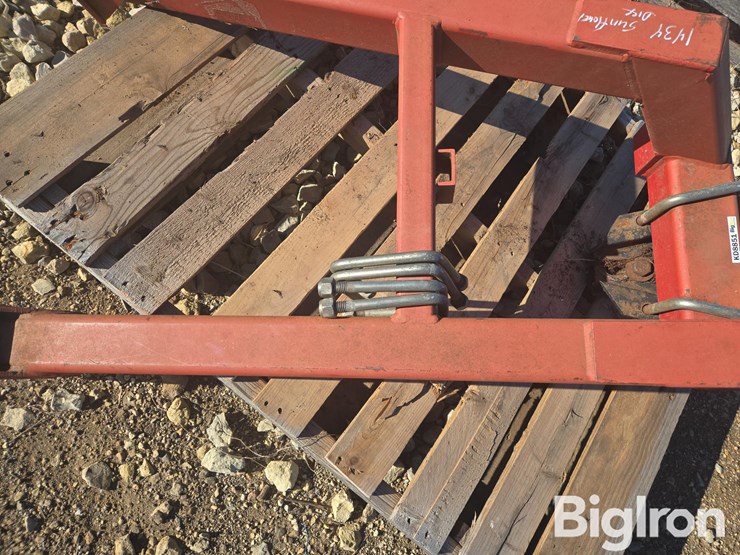 sunflower-1434-image-13