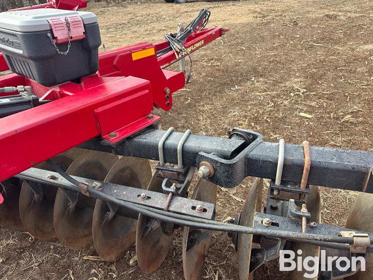 sunflower-1435-image-11