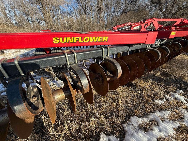 sunflower-disc-image-8