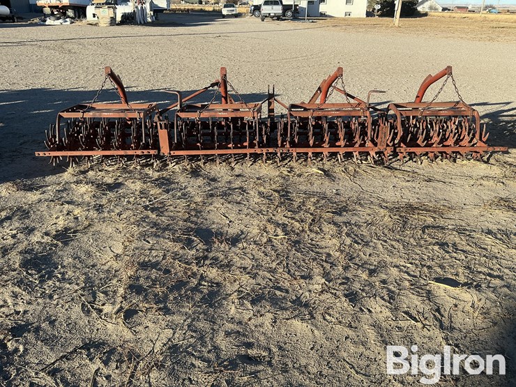 international-3-image-6