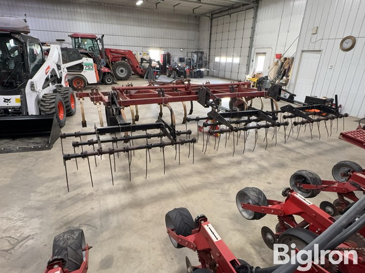 international-55-image-6