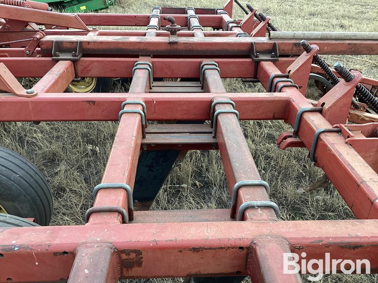 sunflower-4212-19-image-17