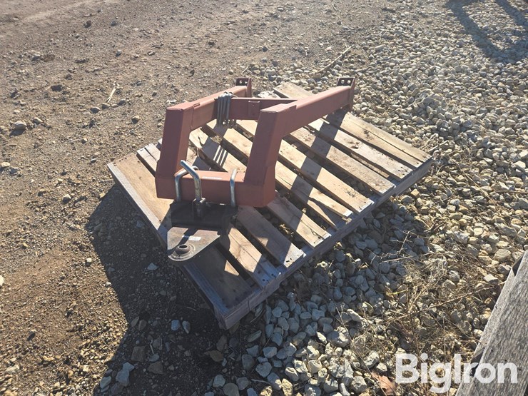 sunflower-1434-image-9