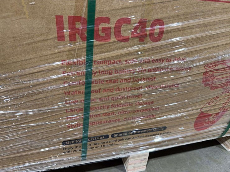 sdlanch-irgc40-electric-tricycle-image-5