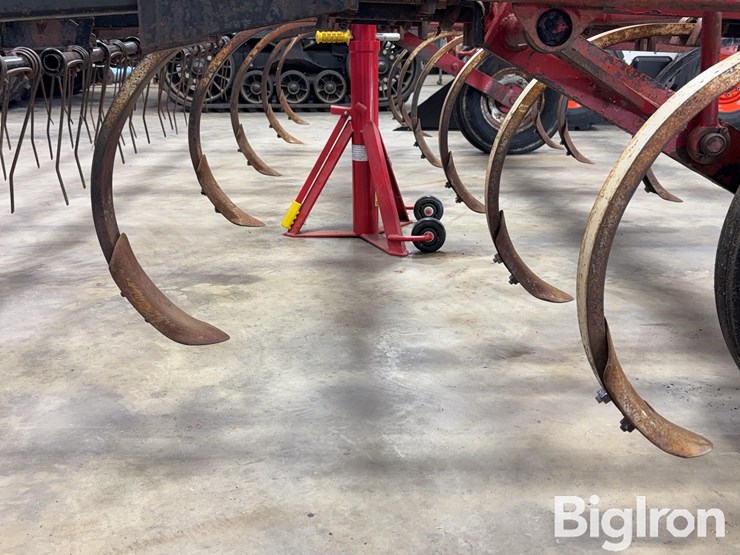 international-55-image-18