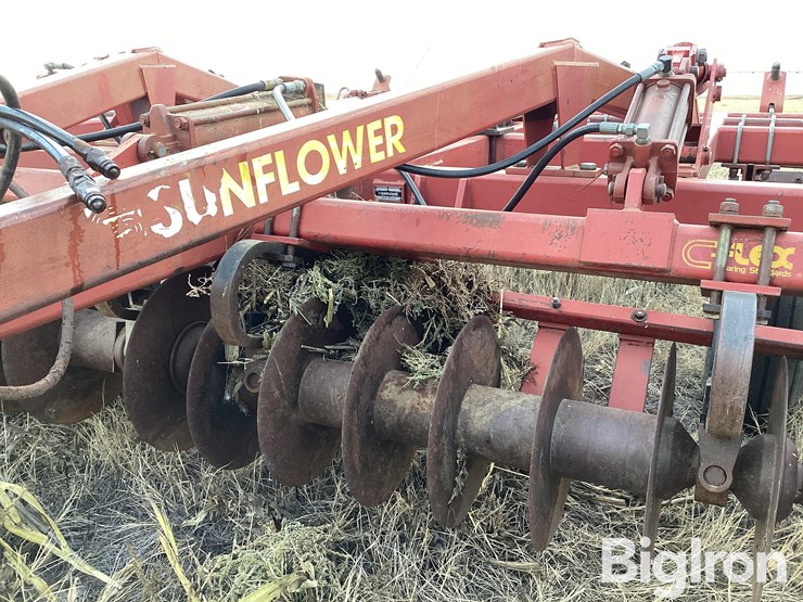 sunflower-4212-19-image-9