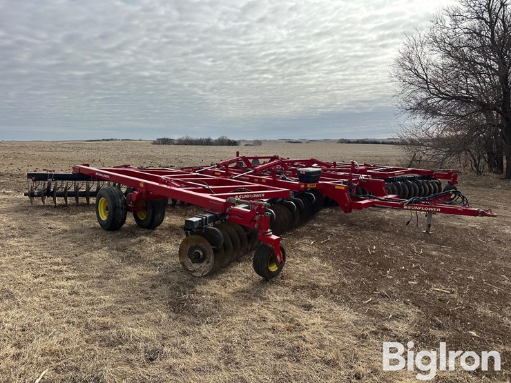 sunflower-1435-image-9