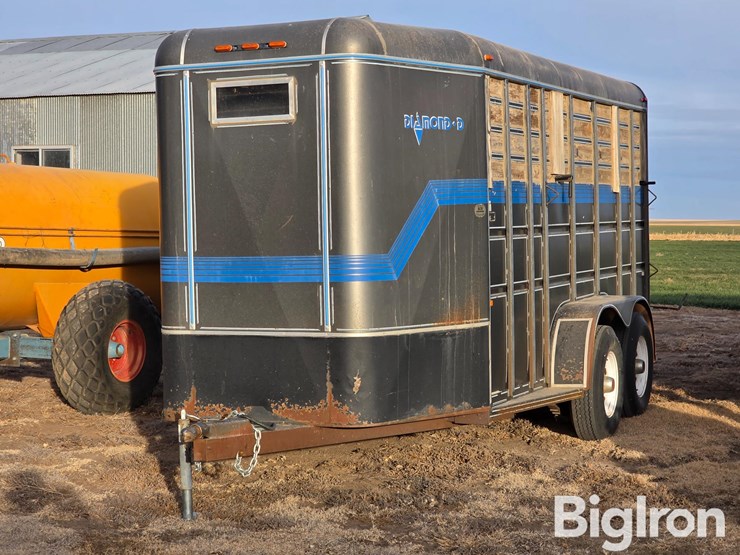 1990-diamond-d-image-1